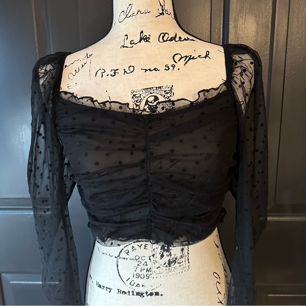 H&M sheer puff sleeves crop top size L(O)